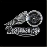 Triumph Motorcycle/Wheel Pin: 